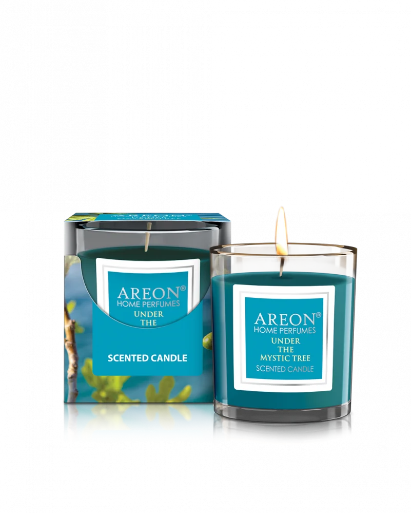 b19EbIqeYC79SQjxLk9ANtROXAbPBX0ZLa6io2iV 120g scented candle with a forest fragrance - Image 1